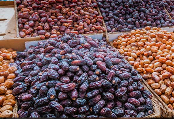 GBO_Iranian Dates exports-image